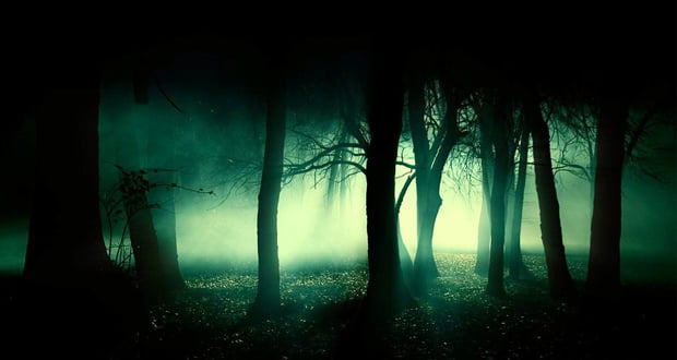 Real Ghost Story: Enter Not the Dark Forest