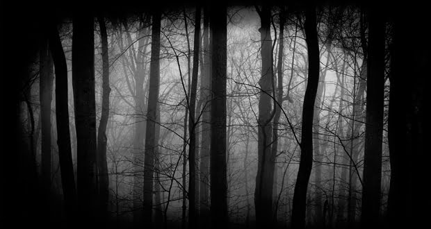 Real Ghost Story: The Black Mass in the Woods