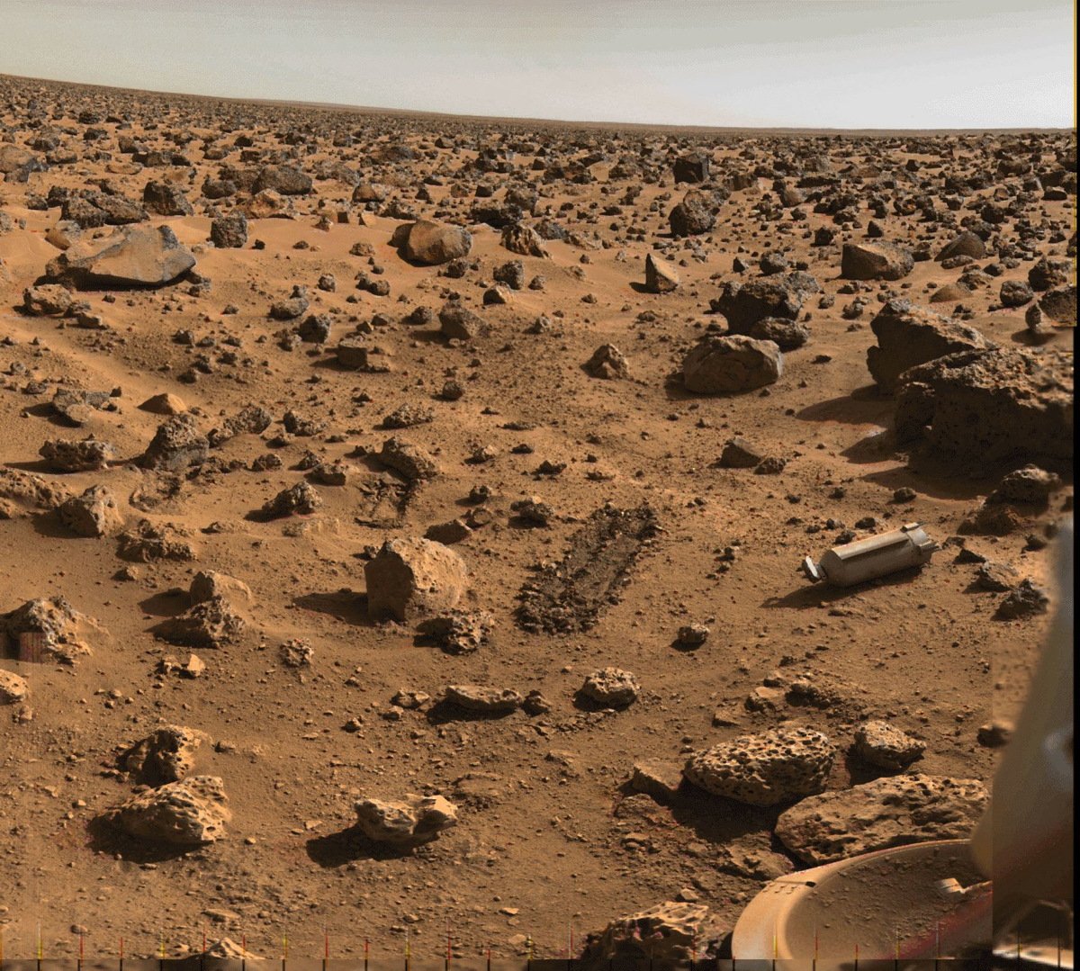 Is Mars Humid Enough to Support Life?