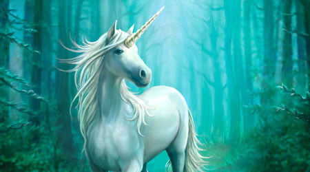 Witchcraft: Unicorns