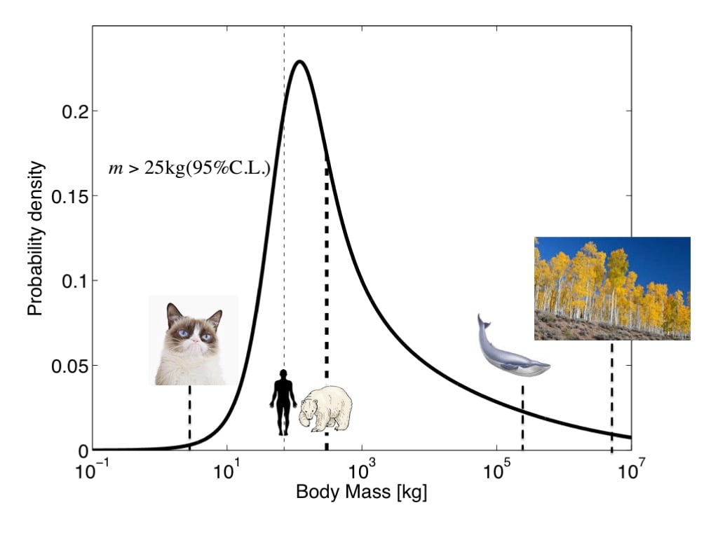 aliens-may-be-polar-bear-sized-00