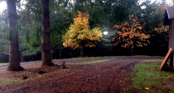 Oregon witnesses describe lights moving across property