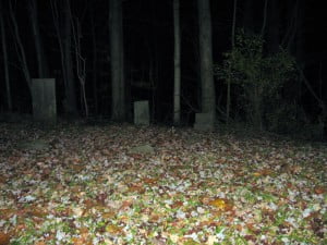 real-ghost-story-family-cemetery-ghost-face-01