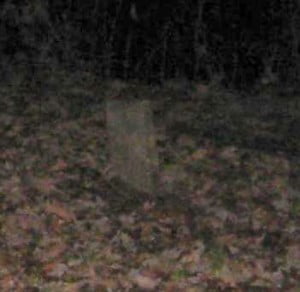 real-ghost-story-family-cemetery-ghost-face-03