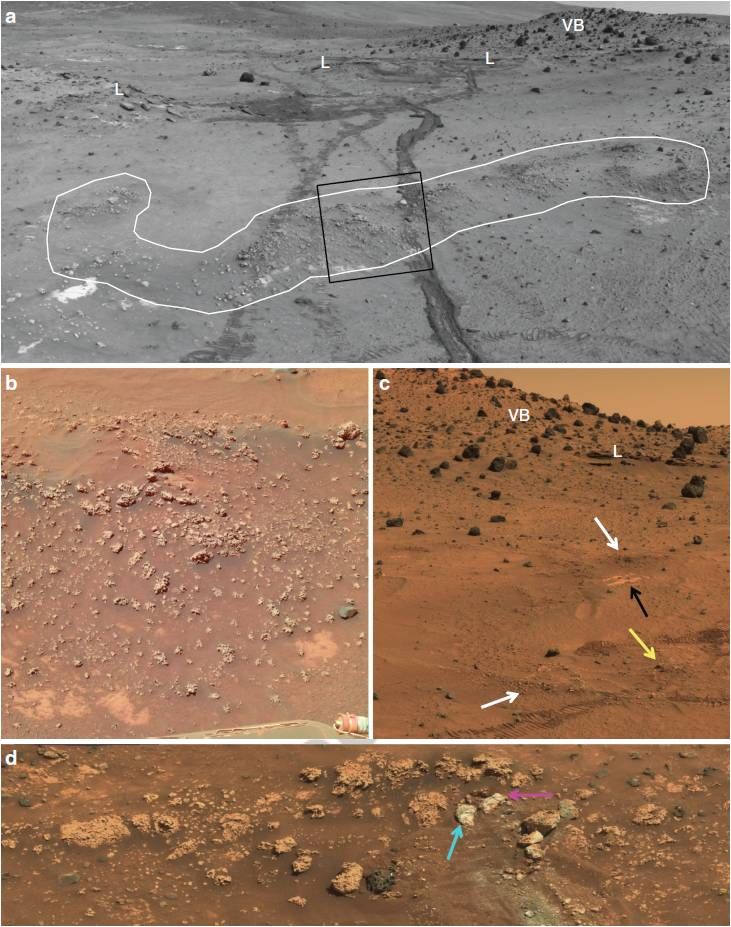 nasa-mars-rover-find-signature-past-life-00