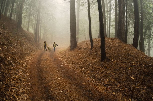 Real Ghost Story: A Walk In The Woods